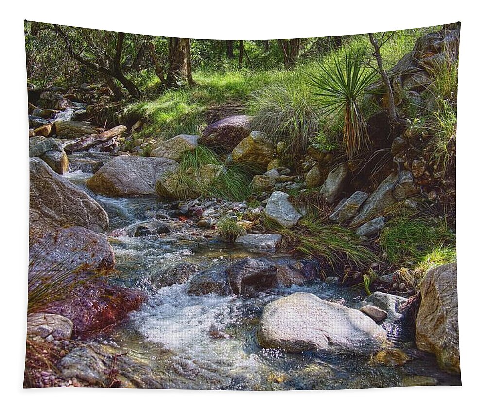 Arizona Tapestry featuring the photograph Love Is Here To Stay by Lucinda Walter