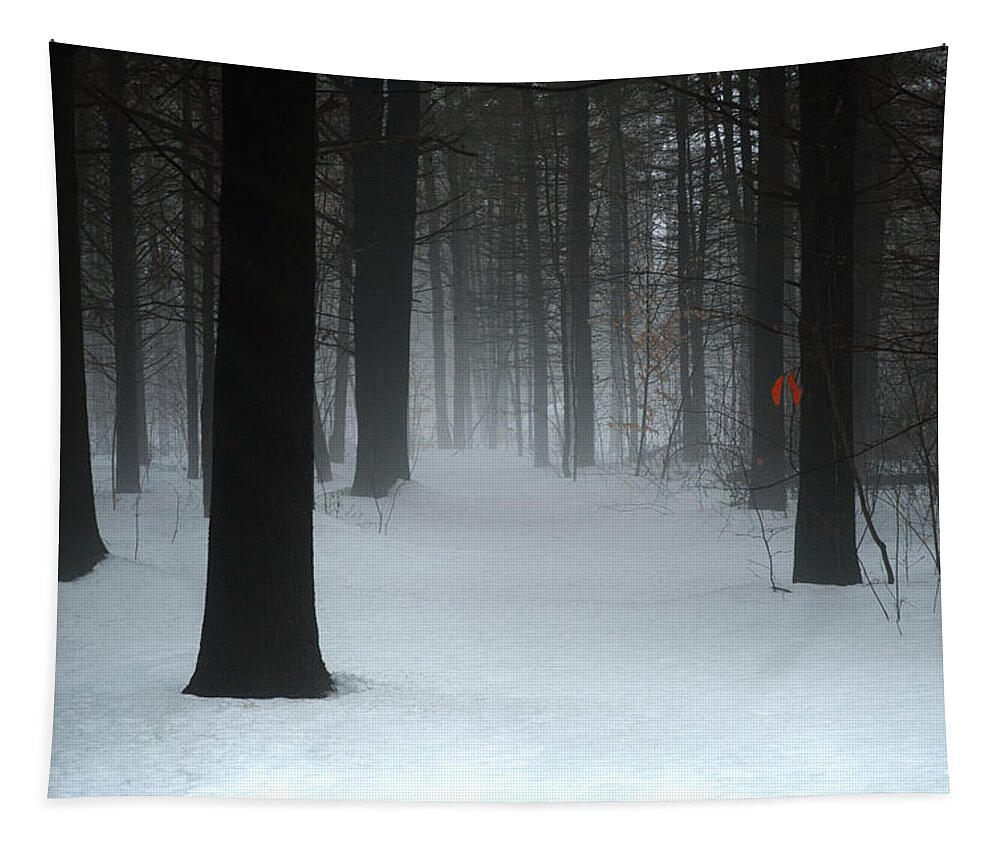 Woods Tapestry featuring the pyrography Lovely, Dark and Deep by Moira Law