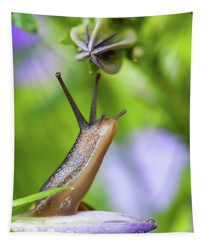 Campanula Tapestry featuring the photograph Lovely garden snail close up on flower by Simon Bratt