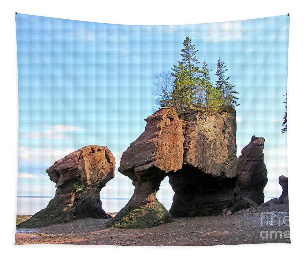 Hopewell Rocks Tapestry featuring the photograph Low Tide at Hopewell Rocks Bay of Fundy NB 5454 by Jack Schultz