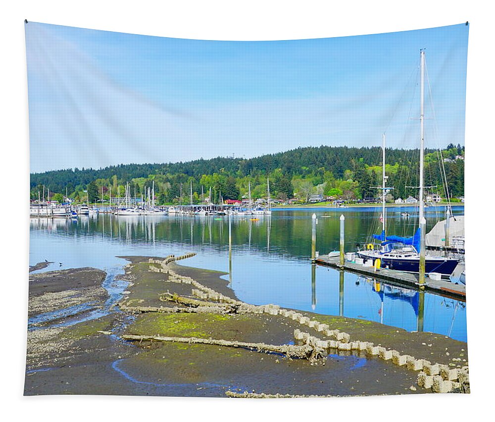 Landscape Tapestry featuring the photograph Low Tide by Bill TALICH