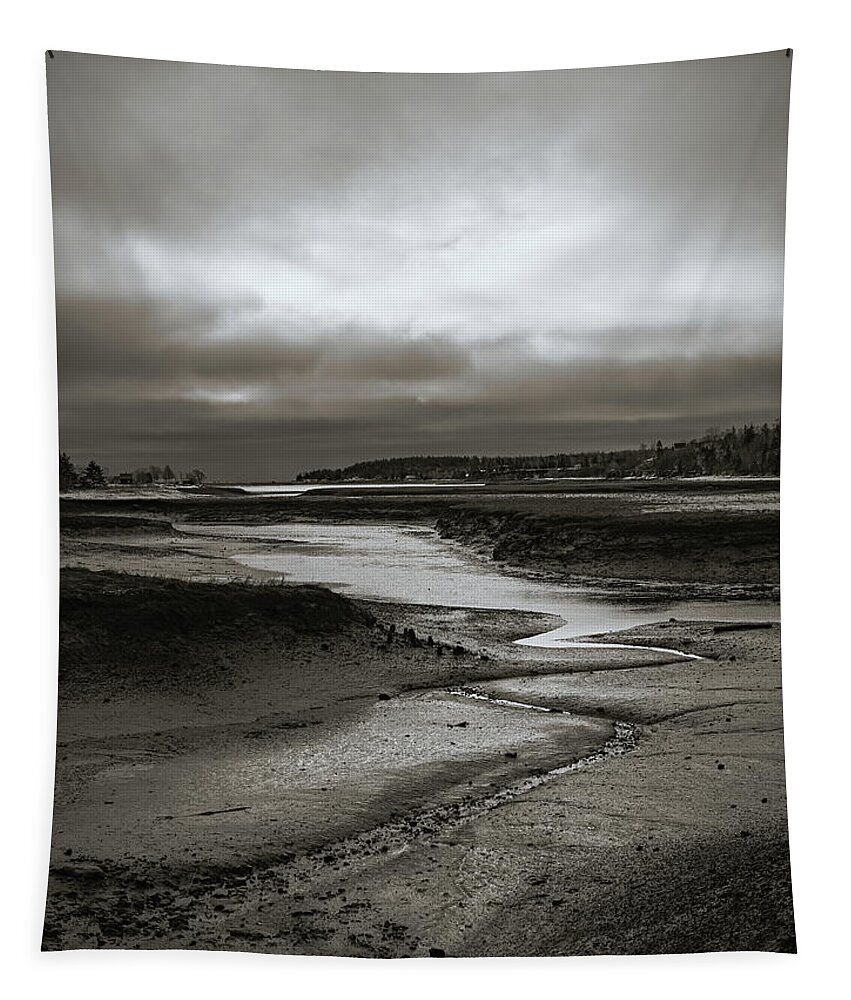 Lighthouse Tapestry featuring the photograph Low Tide - Inner Harbour by Alan Norsworthy
