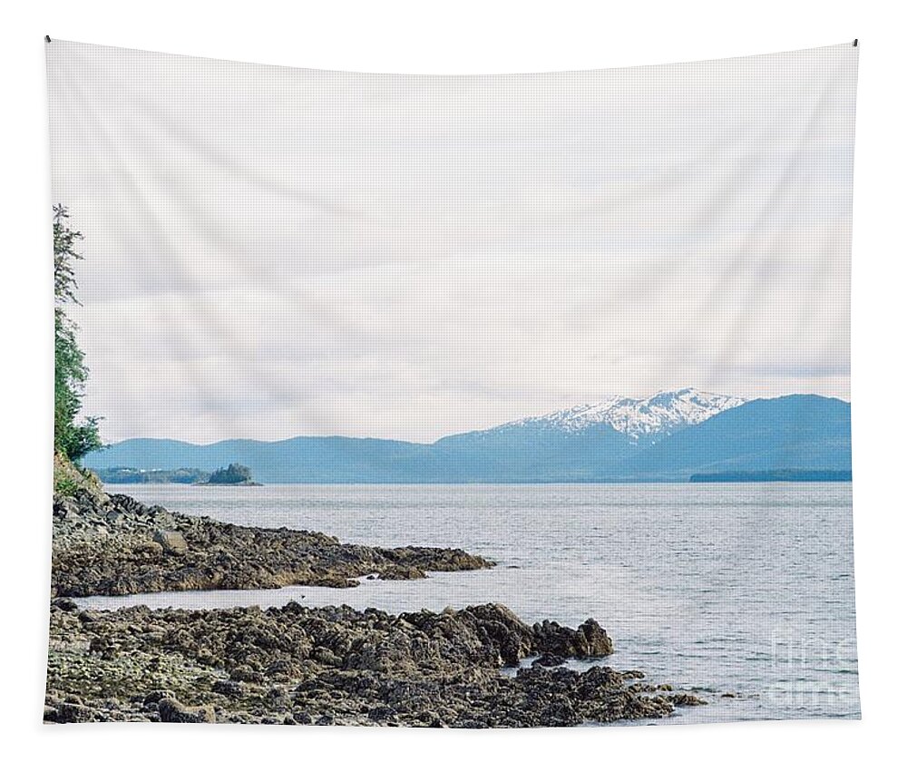 #alaska #ak #juneau #cruise #tours #vacation #peaceful #sealaska #southeastalaska #calm #chilkatmountains #chilkats #capitalcity #lynncanal #shrineofsttherese #clouds #cloudy #35mm #analog #film #summer #sprucewoodstudios Tapestry featuring the photograph Low Tide Looking South by Charles Vice