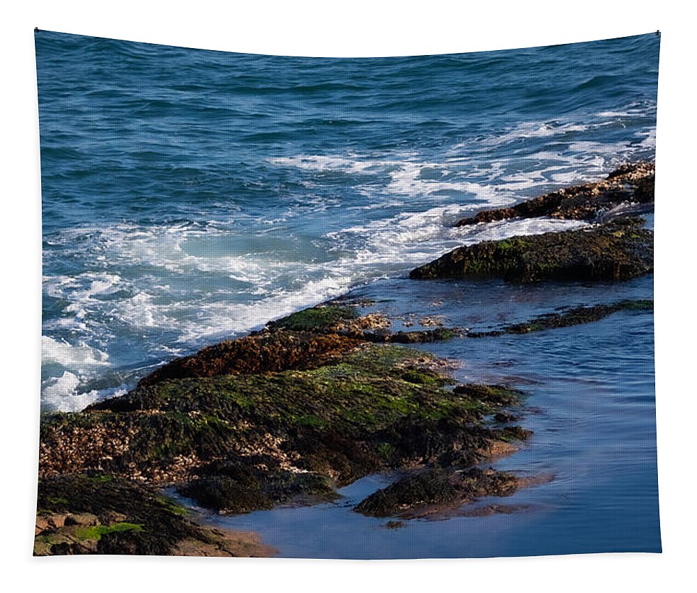 Ocean Tapestry featuring the photograph Low Tide Lovely by Linda Bonaccorsi