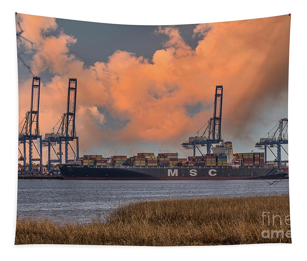 Msc Shanghai Tapestry featuring the photograph Lowcountry Shipping - Wando Welch Terminal - Viewed from Daniel Island SC by Dale Powell