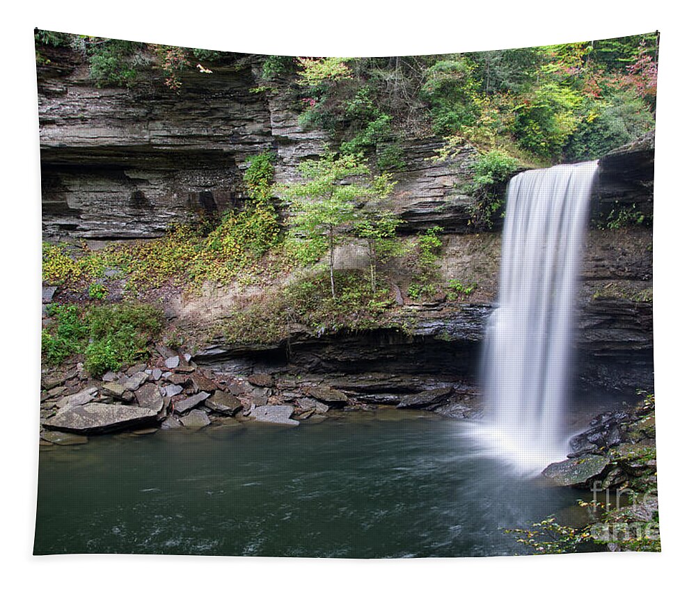 Greeter Falls Tapestry featuring the photograph Lower Greeter Falls 10 by Phil Perkins