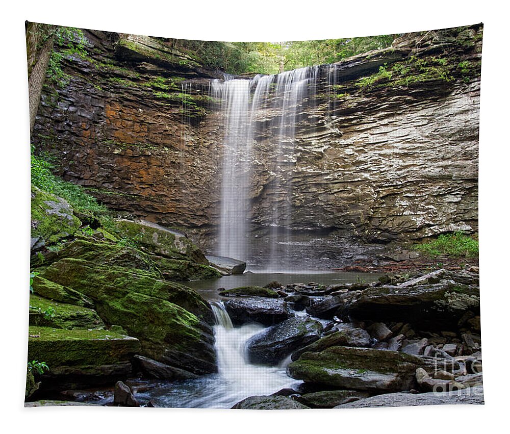 Lower Piney Falls Tapestry featuring the photograph Lower Piney Falls 18 by Phil Perkins