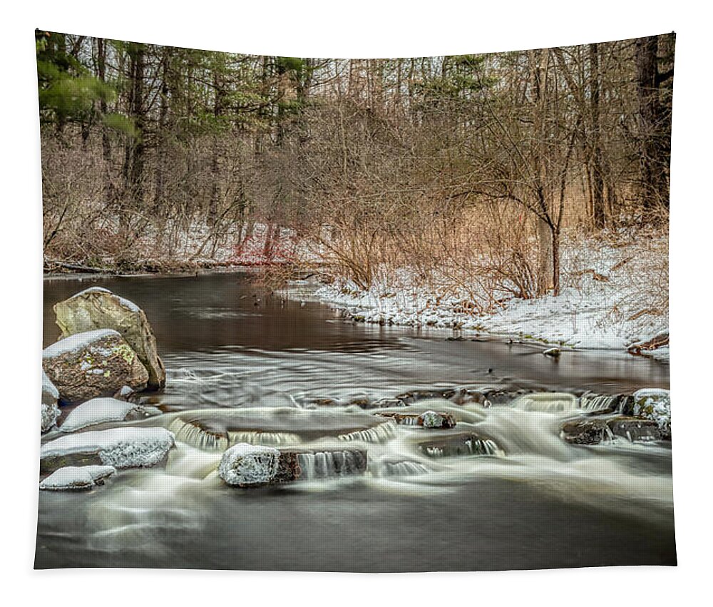 Upstate Ny Stream Tapestry featuring the photograph Lower Rice Creek by Rod Best