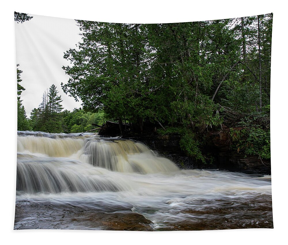 Lower Tahquamenon Waterfall Tapestry featuring the photograph Lower Tahquamenon Waterfall by Dan Sproul
