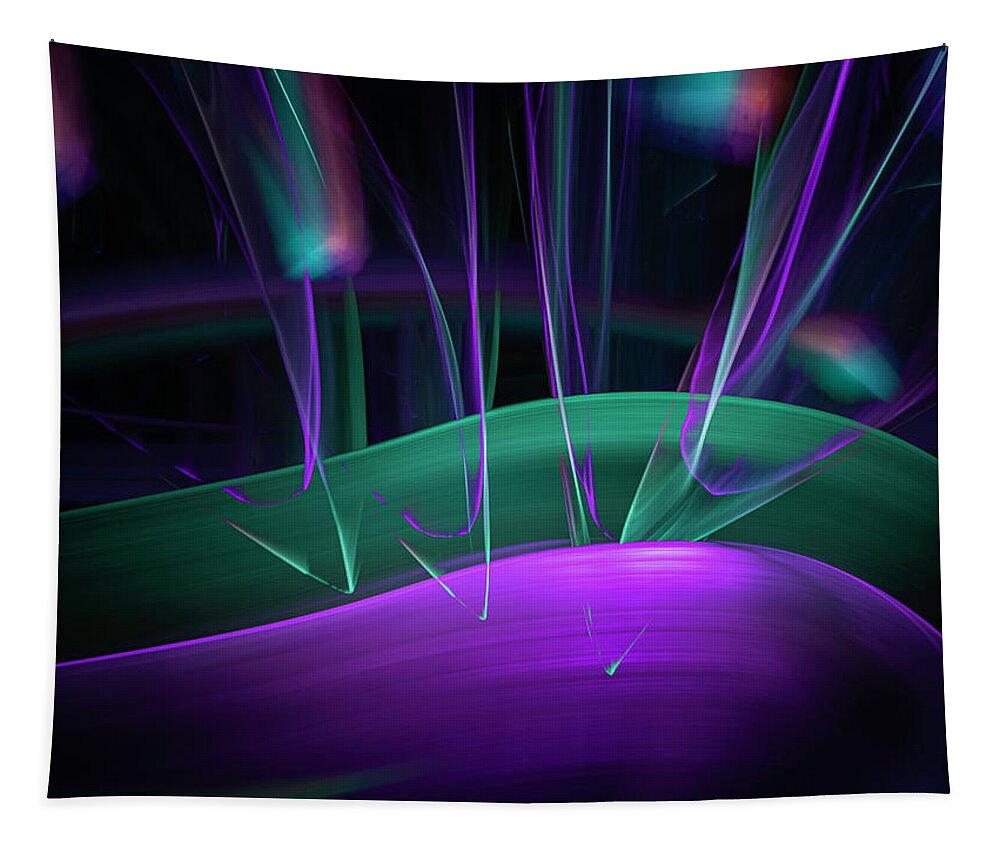 Light Painting Tapestry featuring the photograph Lp 02 by Fred LeBlanc