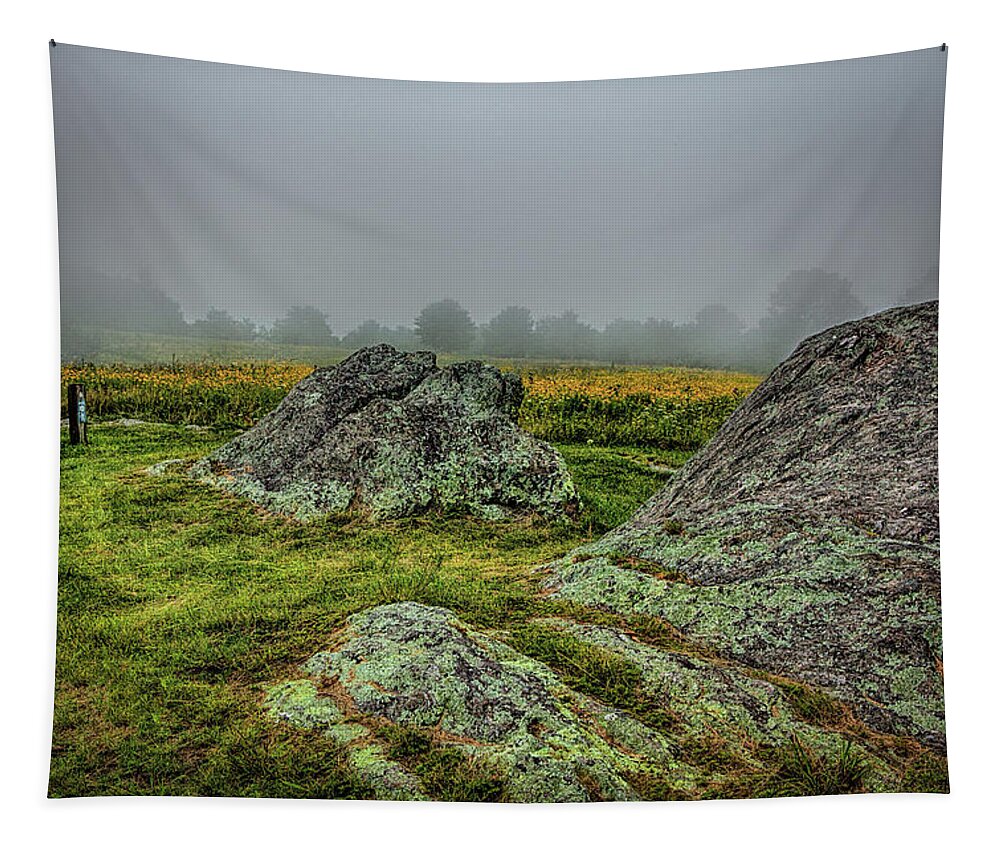 North Carolina Tapestry featuring the photograph Lumps on Bluff by Dan Carmichael