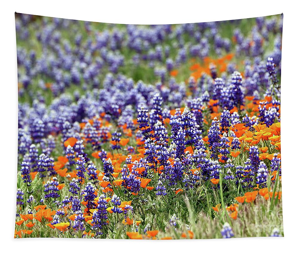Lupine Tapestry featuring the photograph Lupines and Poppies by Vivian Krug Cotton