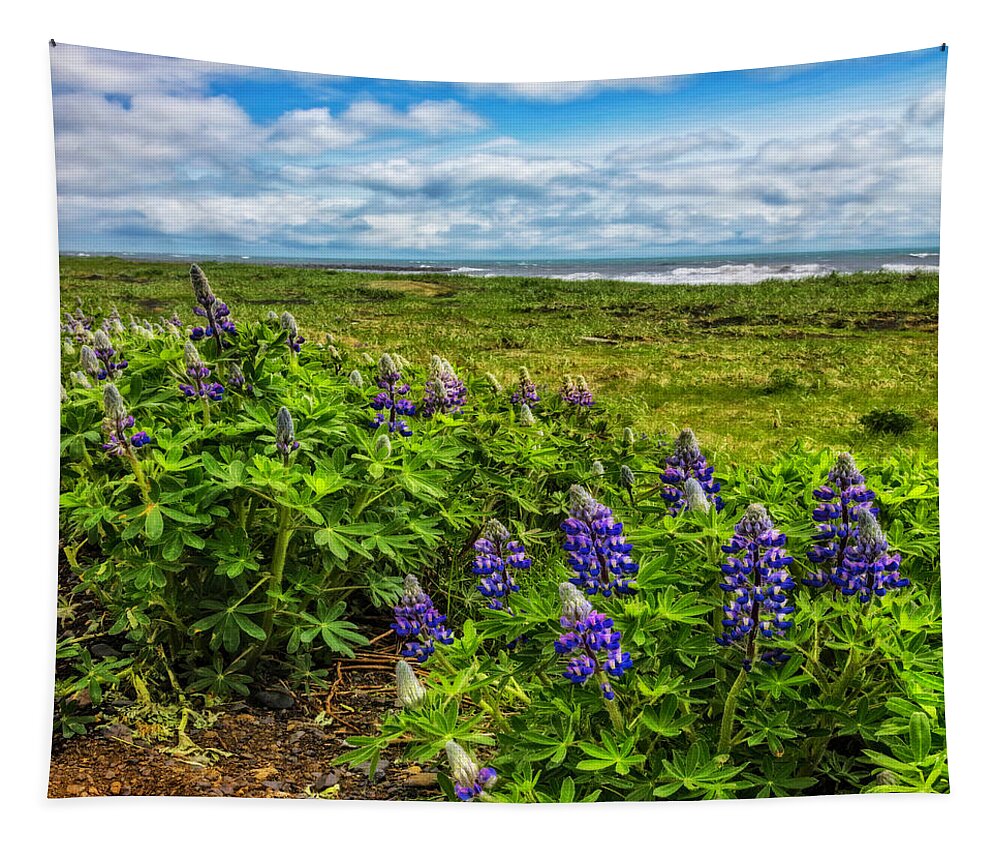 Clouds Tapestry featuring the photograph Lupines at the Edge of the Sea in Square by Debra and Dave Vanderlaan