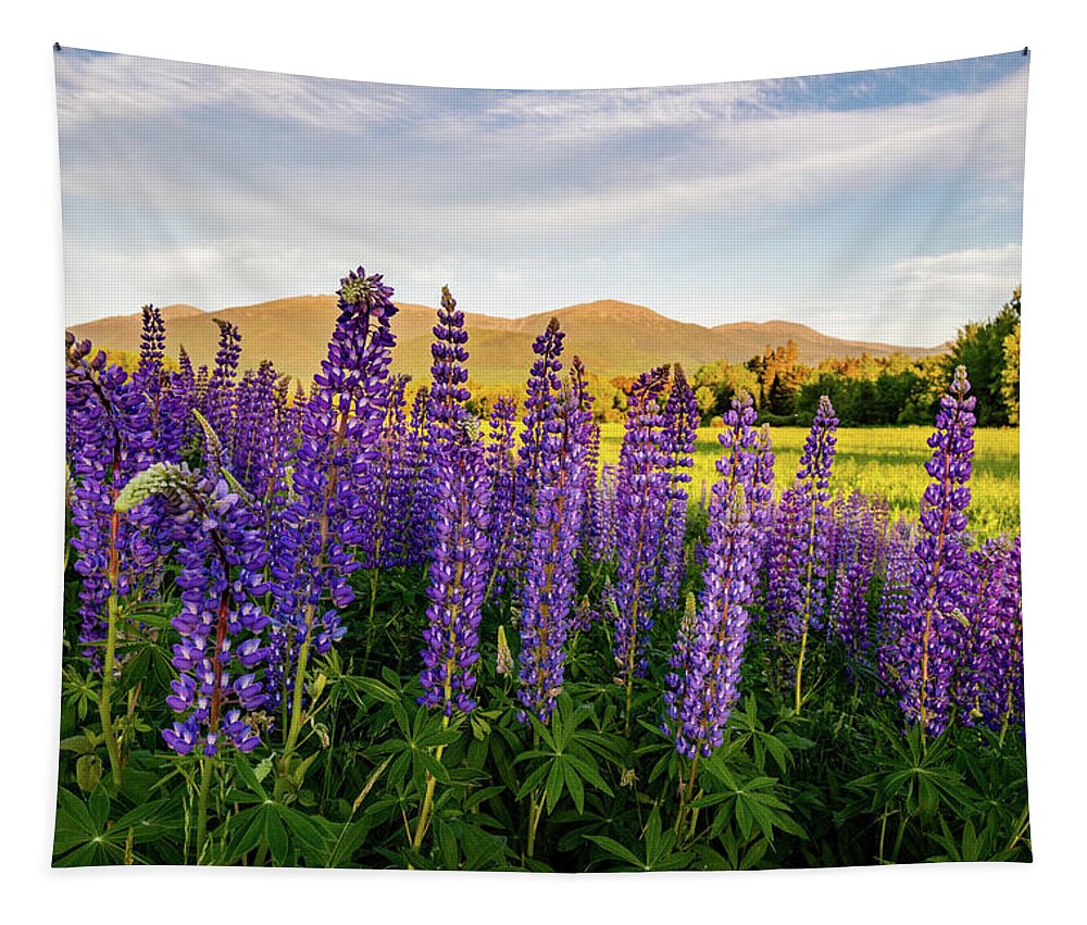 Lupine Tapestry featuring the photograph Lupines of the White Mountains in New Hampshire III by William Dickman