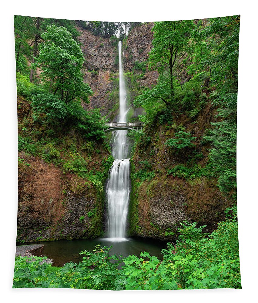 Multnomah Falls Tapestry featuring the photograph Lush Foliage at Multnomah Falls by Michael Ver Sprill
