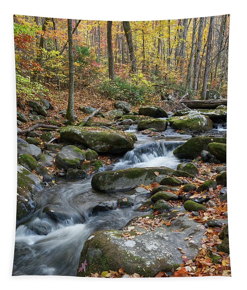 Middle Prong Trail Tapestry featuring the photograph Lynn Camp Prong 14 by Phil Perkins