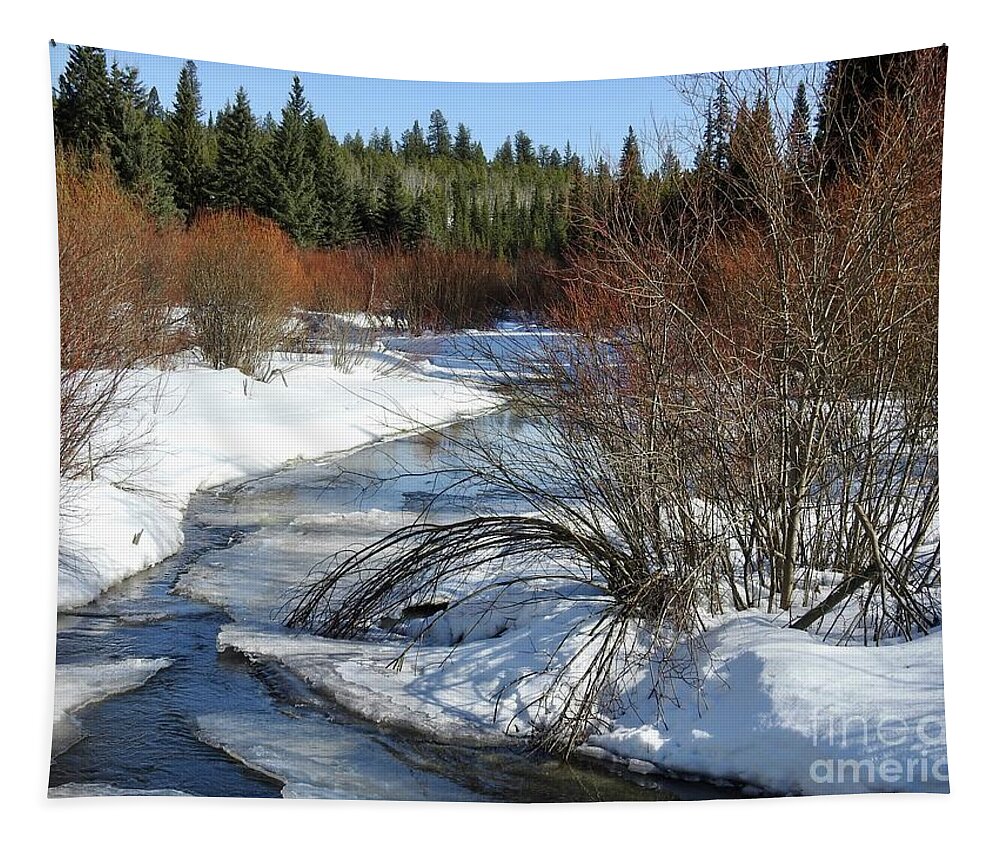 Creek Tapestry featuring the photograph Mackin Creek in March by Nicola Finch