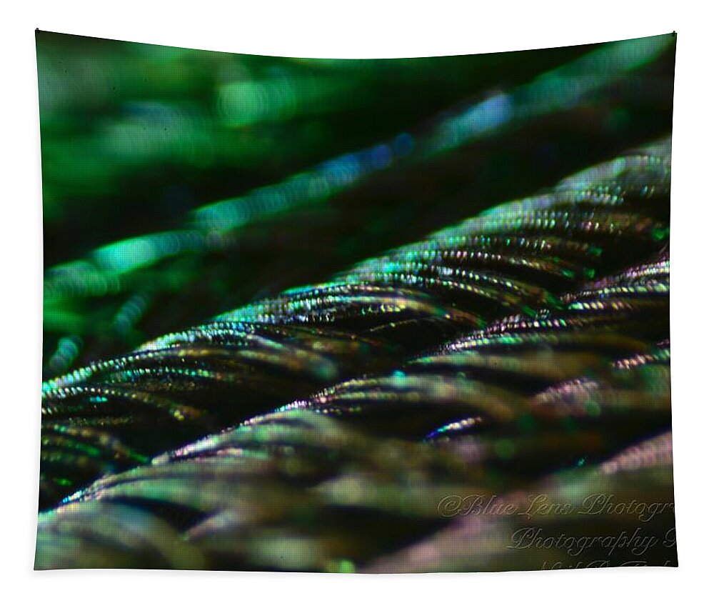 Macro Tapestry featuring the photograph Macro Peacock Feather by Neil R Finlay