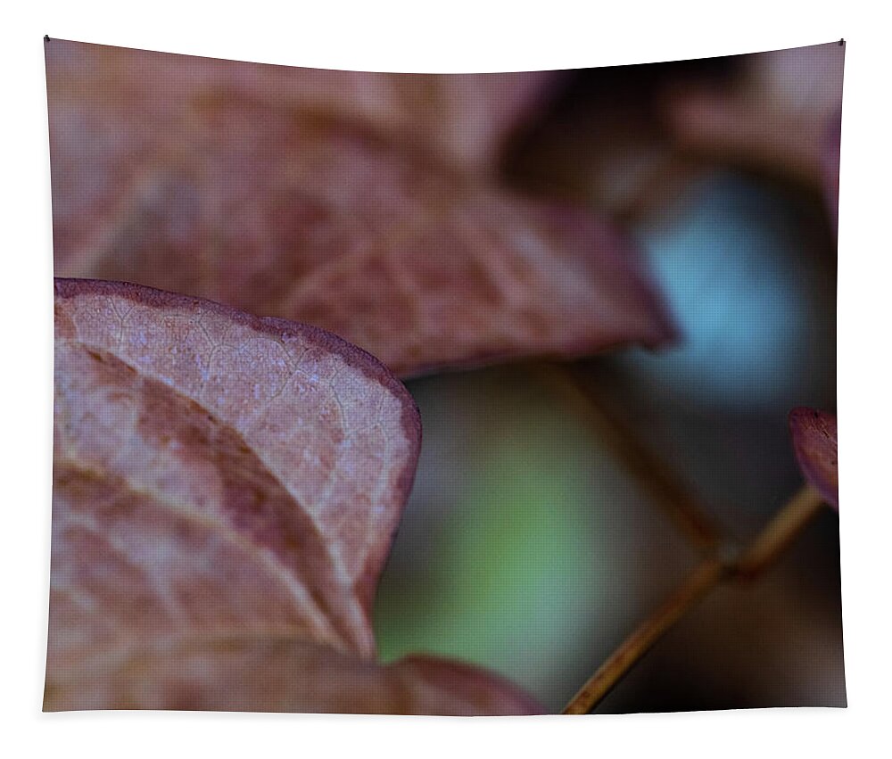 Macro Tapestry featuring the photograph Macro Photography - Leaves by Amelia Pearn