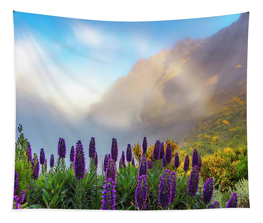 Atlantic Ocean Tapestry featuring the photograph Madeira by Evgeni Dinev