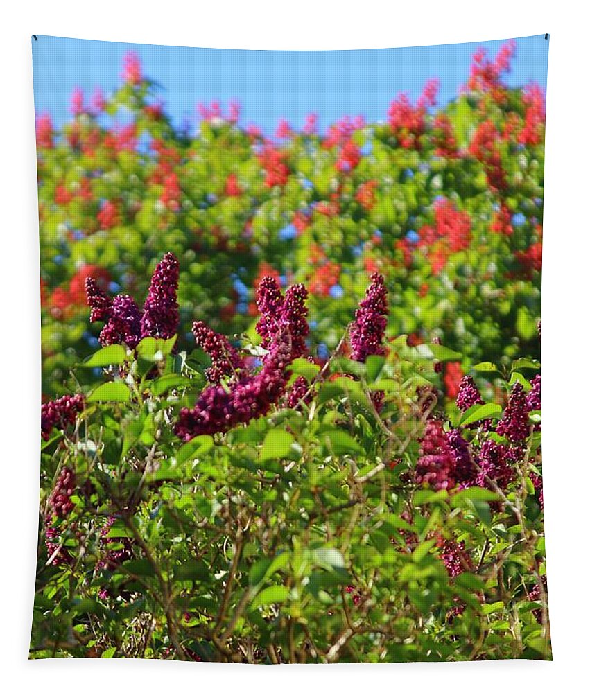 Lilac Tapestry featuring the photograph Magenta Lilac by Kimberly Furey