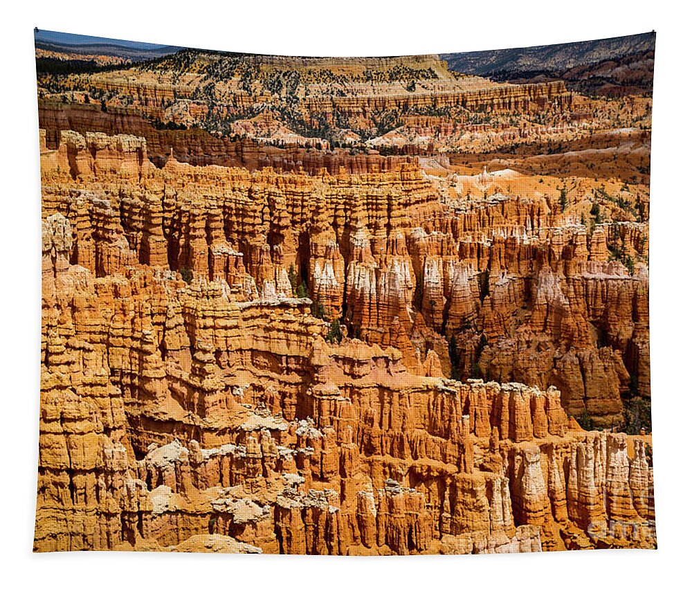 Bryce Canyon Tapestry featuring the photograph Magic Eye by Erin Marie Davis