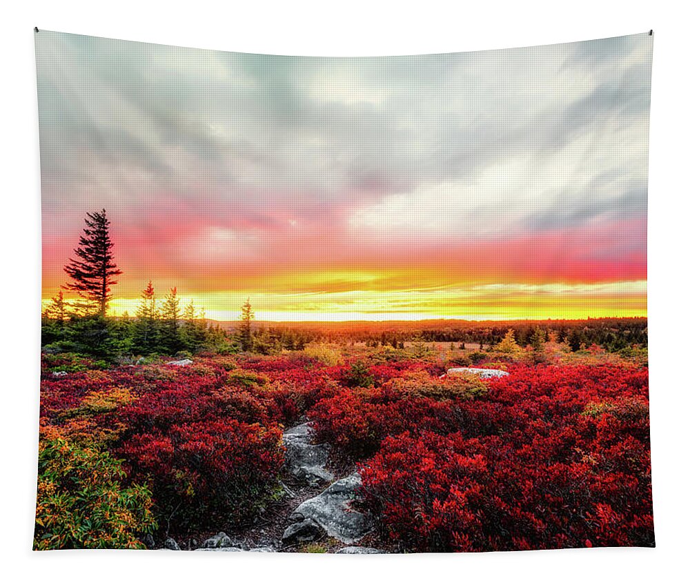 Landscape Tapestry featuring the photograph Magic of Autumn by C Renee Martin