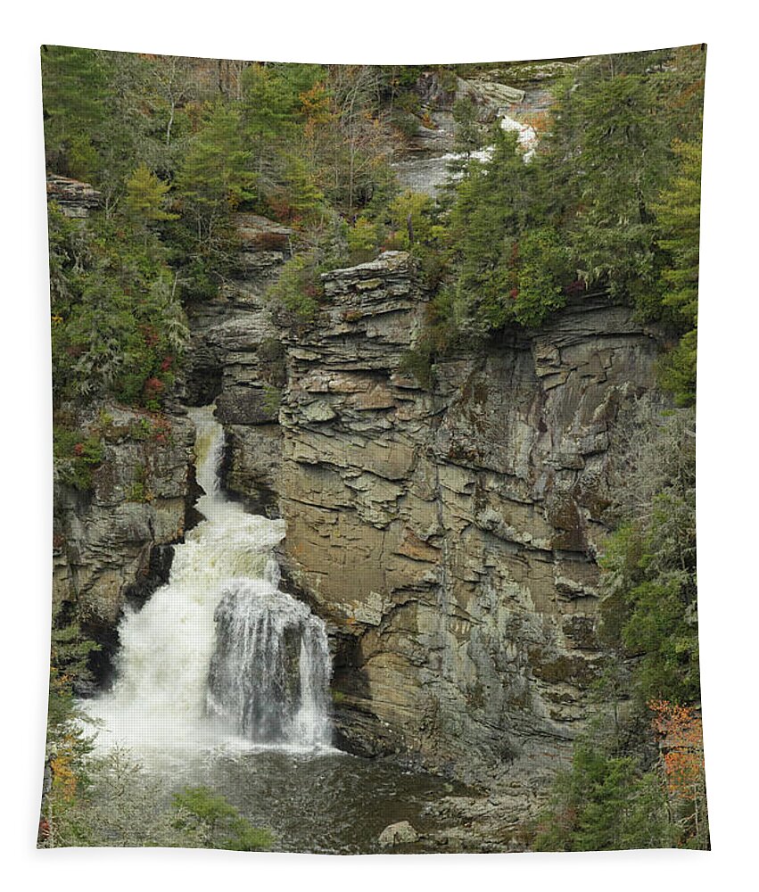 Waterfall Tapestry featuring the photograph Magic Waterfall by Steve Templeton