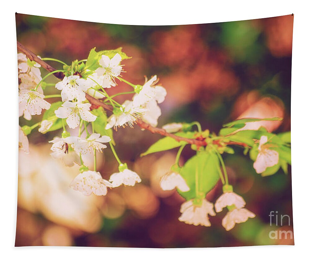 Wild Cherry Tapestry featuring the photograph Magical bokeh close up of a blooming sweet cherry tree by Mendelex Photography