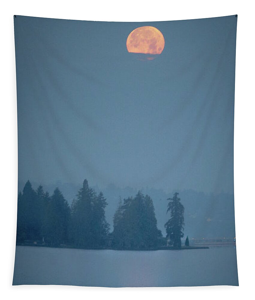 Moon Tapestry featuring the photograph Magical Moon Reflections by D Lee