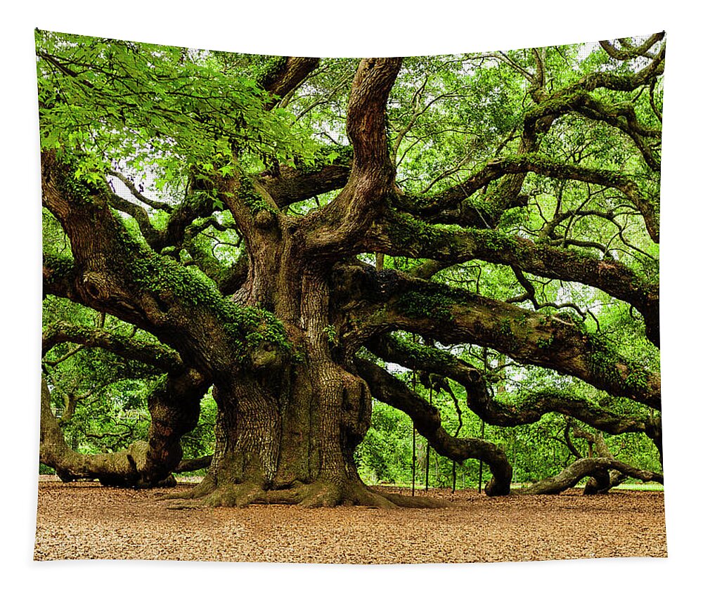 Charleston Tree Angel Oak South Carolina Johns Island Leaves Angel Oak Tree Live Oak Nature Trees Landscape Green Oak Tree Branches Moss Low Country Tapestry featuring the photograph Magnificent Angle Oak 2 by Louis Dallara