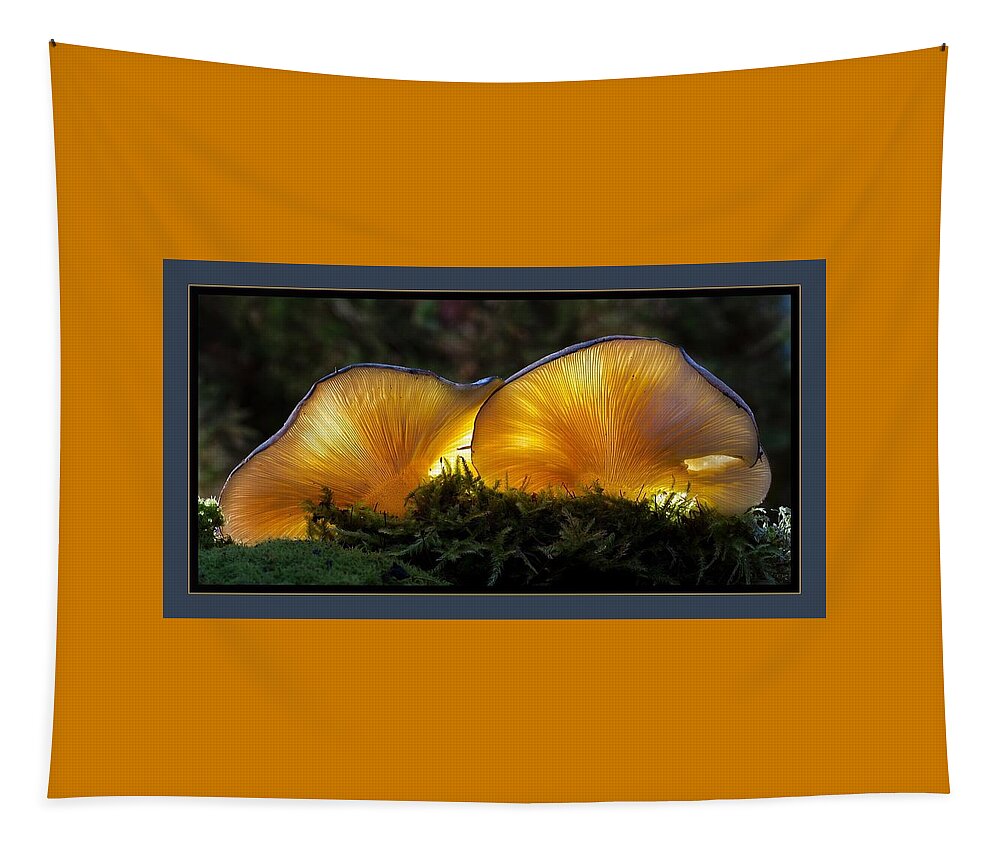 Mushrooms Tapestry featuring the photograph Magnificent Mushrooms by Nancy Ayanna Wyatt