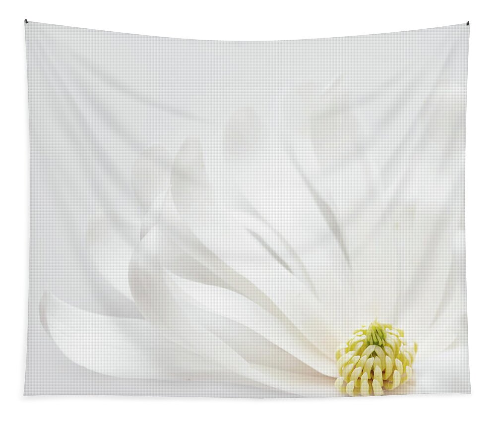 Magnolia Tapestry featuring the photograph Magnolia 8 by Rebecca Cozart