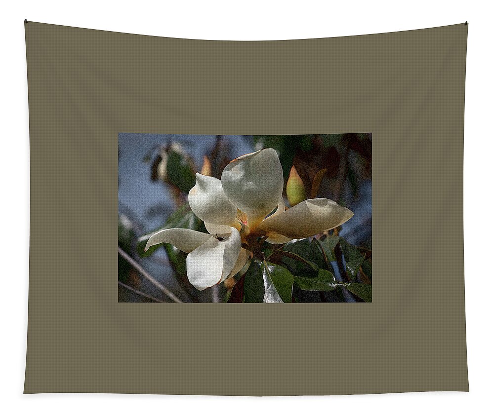 Photograph Tapestry featuring the photograph Magnolia grandiflora from Below III - Enhanced by Suzanne Gaff