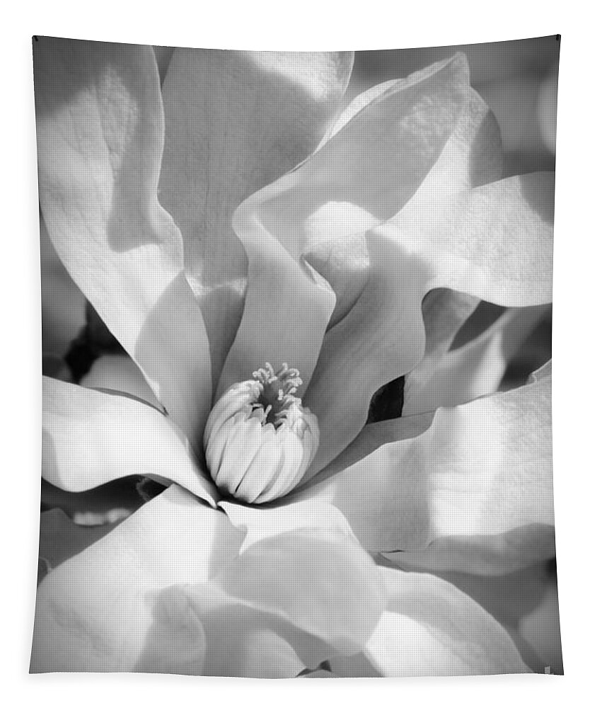 Black And White Tapestry featuring the photograph Magnolia Magic Black and White by Carol Groenen
