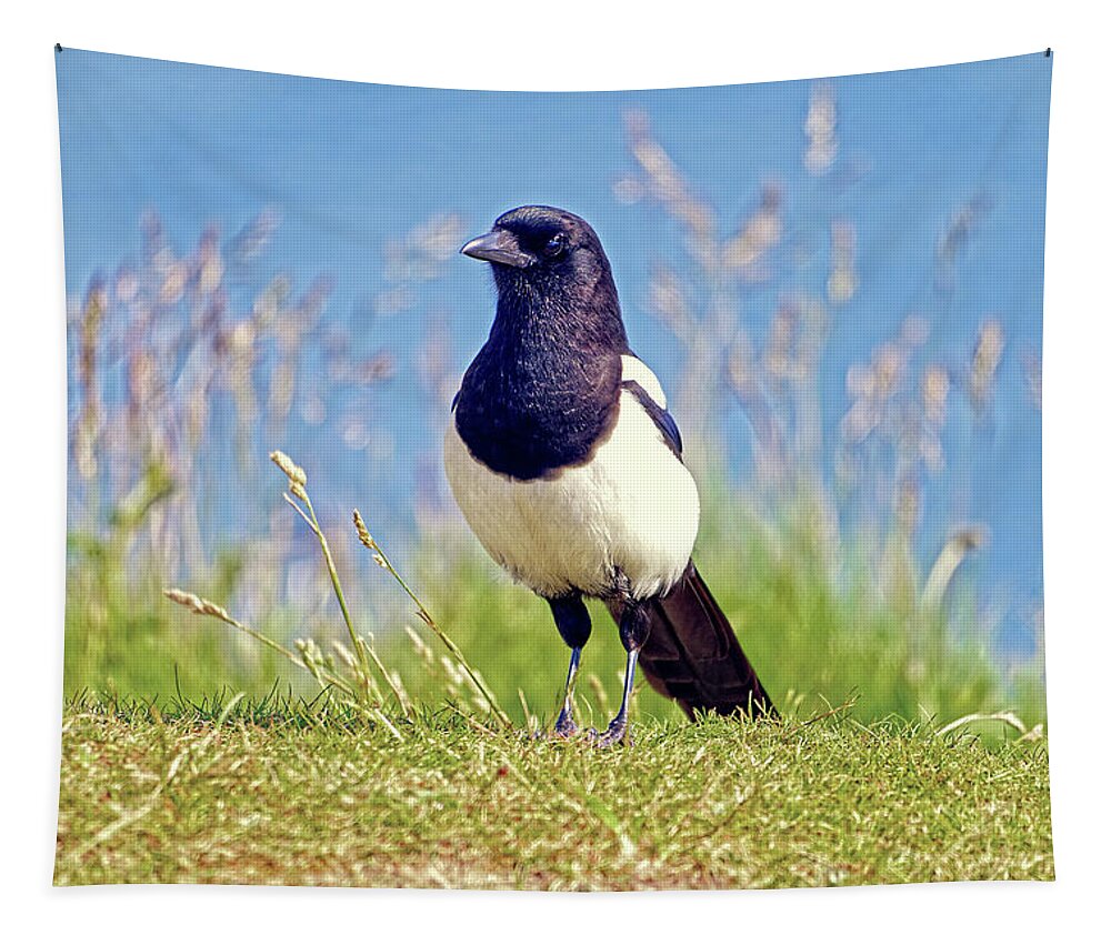 Nature Tapestry featuring the photograph Magpie - Pica pica by Rod Johnson