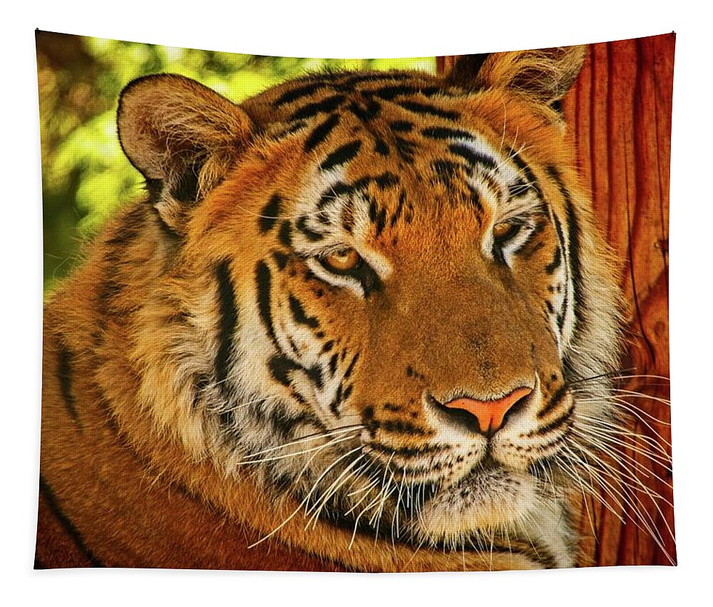 Amur Tapestry featuring the photograph Majestic Face by David Desautel