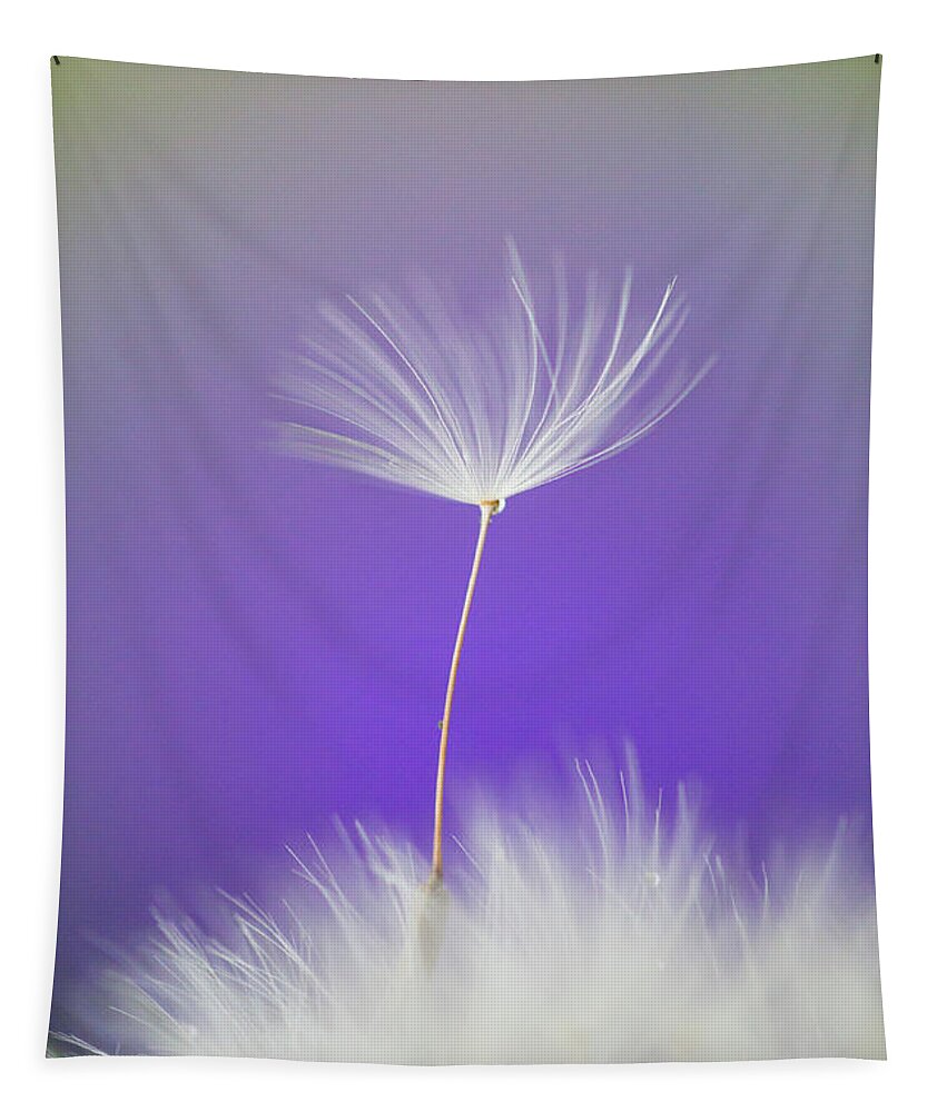 Abstract Tapestry featuring the photograph Make a Wish - on Purple by Anita Nicholson