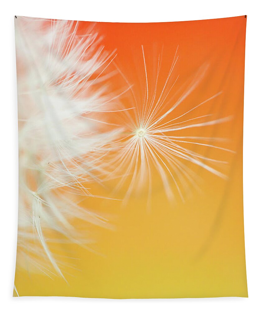 Ideas Tapestry featuring the photograph Make a Wish - on Orange and Yellow by Anita Nicholson