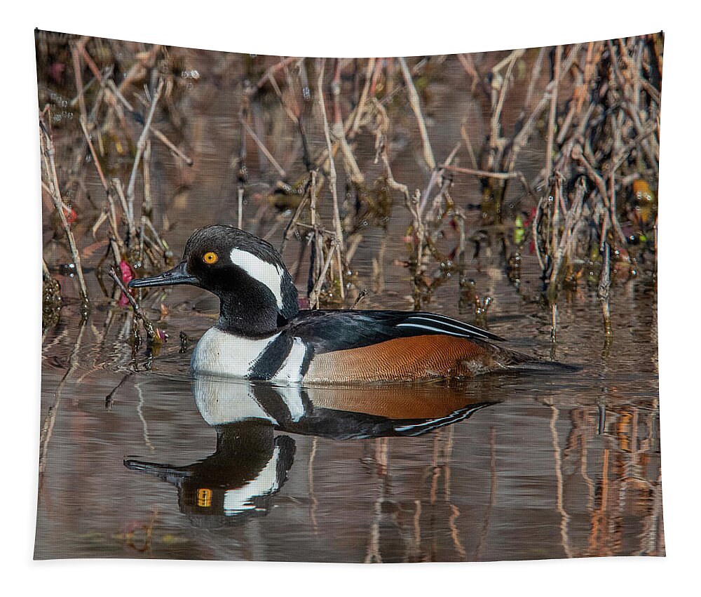 Nature Tapestry featuring the photograph Male Hooded Merganser DWF0231 by Gerry Gantt