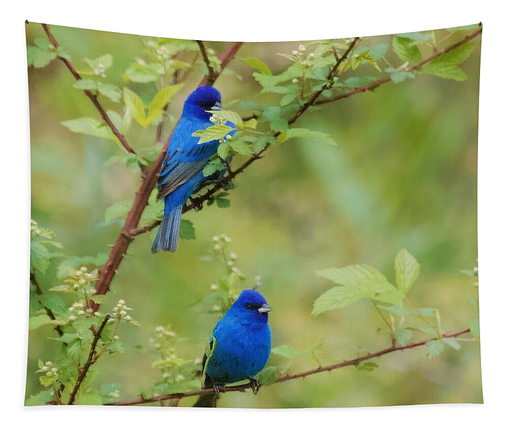 Male Indigo Buntings Tapestry featuring the photograph Male Indigo Buntings South Carolina by Bellesouth Studio