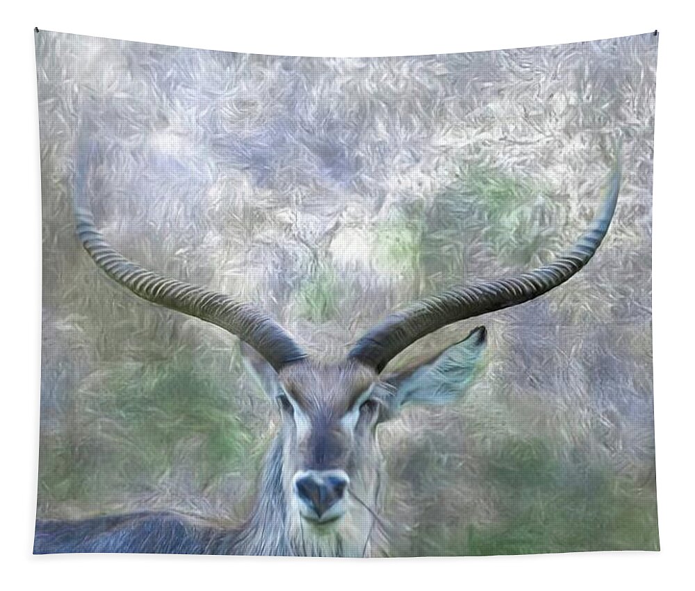 Waterbuck Tapestry featuring the photograph Male Waterbuck Antelope by Rebecca Herranen