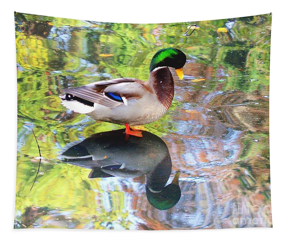Duck Tapestry featuring the photograph Mallard Muse by Kimberly Furey