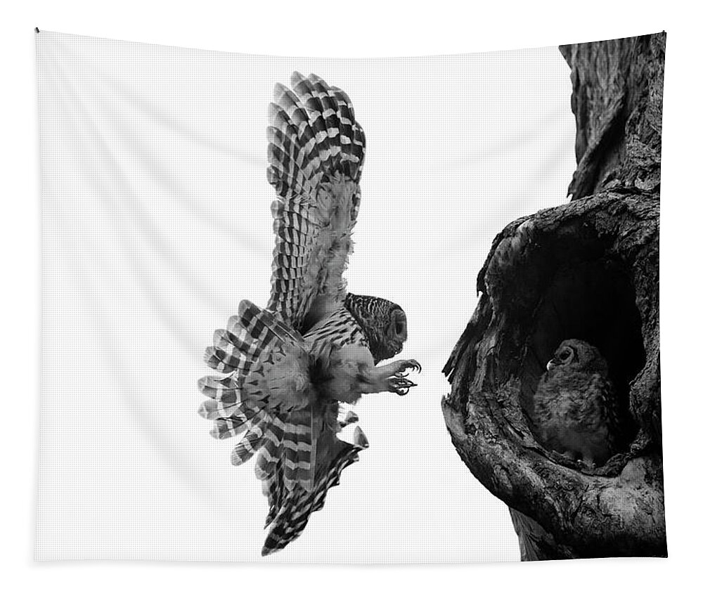 Cute Owlet Tapestry featuring the photograph Mama Barred Owl rushing to its Baby by Puttaswamy Ravishankar