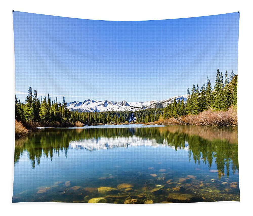 California Tapestry featuring the photograph Mammoth Lakes, California by Sandra Foyt