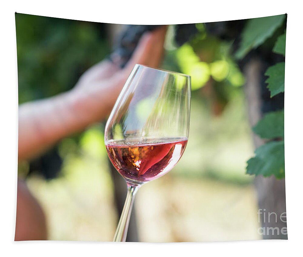Wine Tapestry featuring the photograph Man holding glass of red wine in vineyard field by Jelena Jovanovic