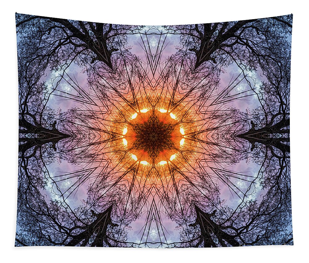 Natuurgebied Het Weegje Tapestry featuring the photograph Mandala-178 by Casper Cammeraat