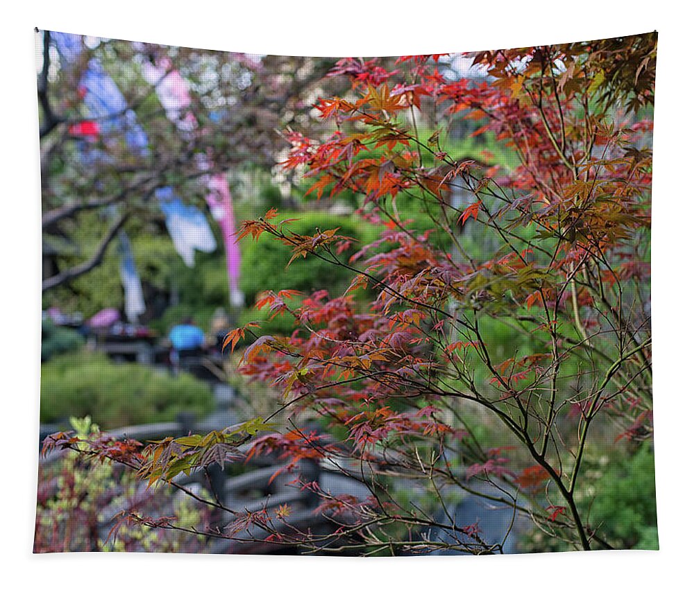 Maple Trees Tapestry featuring the photograph Maple Leaves in fall by Doug Wittrock