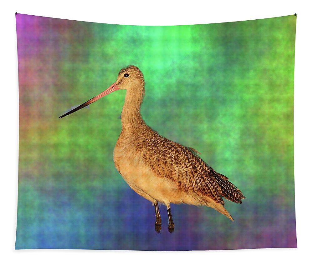 Marbled Godwit Tapestry featuring the photograph Marbled Godwit by Mingming Jiang