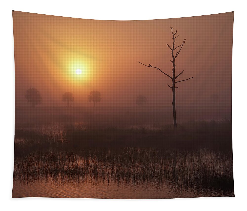 Marsh Bird At Sunrise Tapestry featuring the photograph Marsh Bird at Sunrise by Bill Chambers